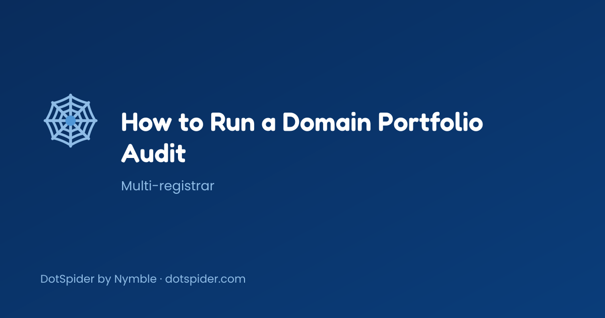 How to Run a Domain Portfolio Audit — blog cover