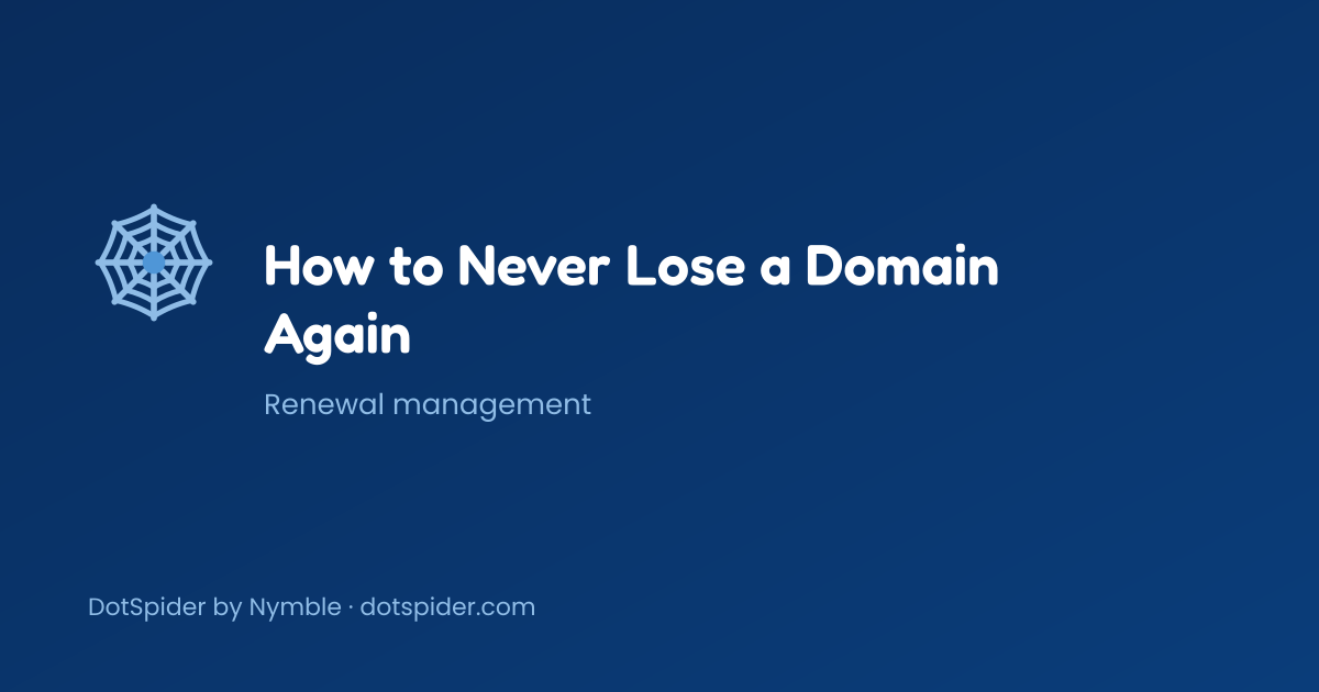 How to Never Lose a Domain Again — blog cover