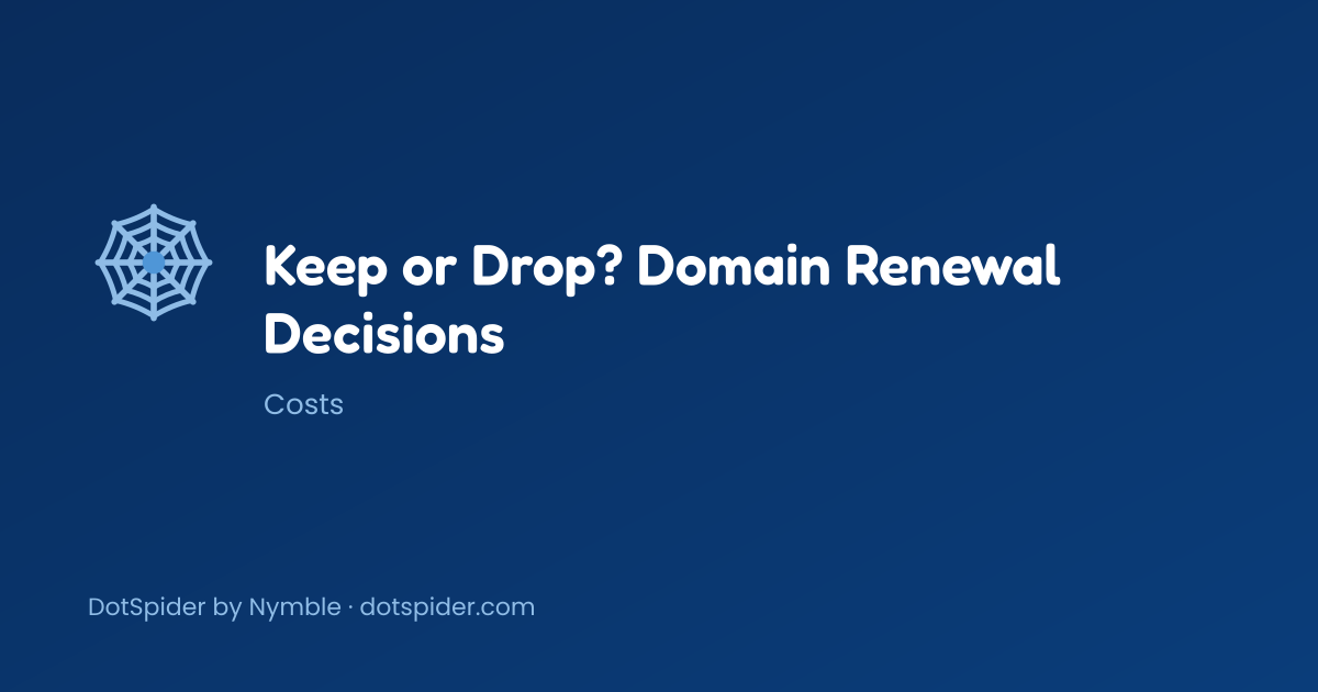 Keep or Drop? Domain Renewal Decisions — blog cover